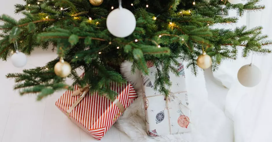 Živý vianočný stromček – výhody, nevýhody a starostlivosť