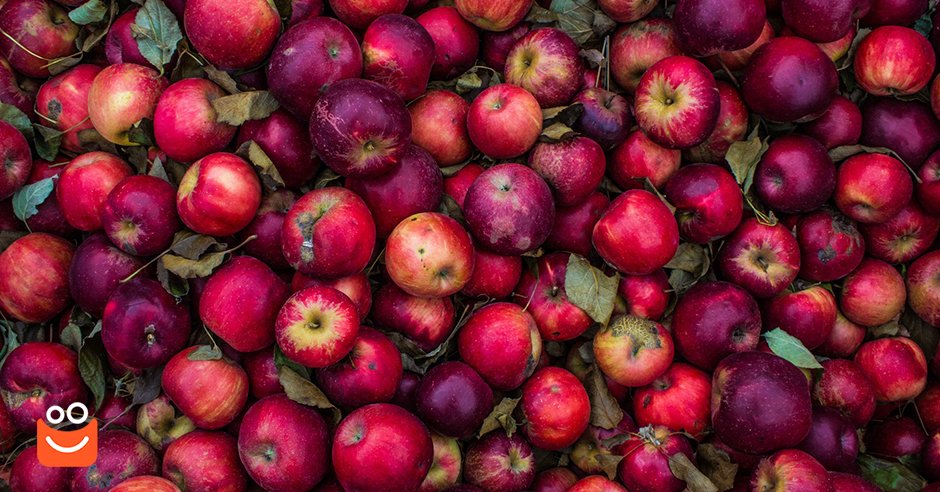 Milujete cider? Ukážeme vám, ako si ho vyrobíte doma