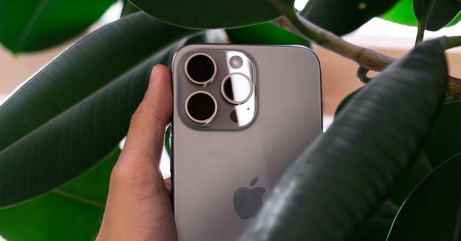 iphone-ruka-rastlina