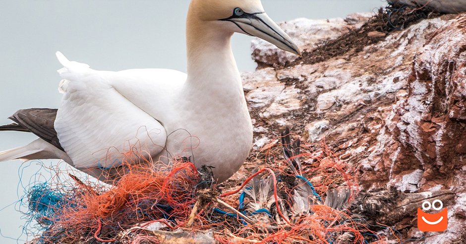 Zero waste: Život bez plytvania a odpadu