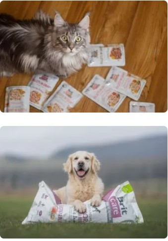 mačka a pes so zabaleným kmivom