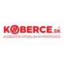 Logo e-shopu na homepage