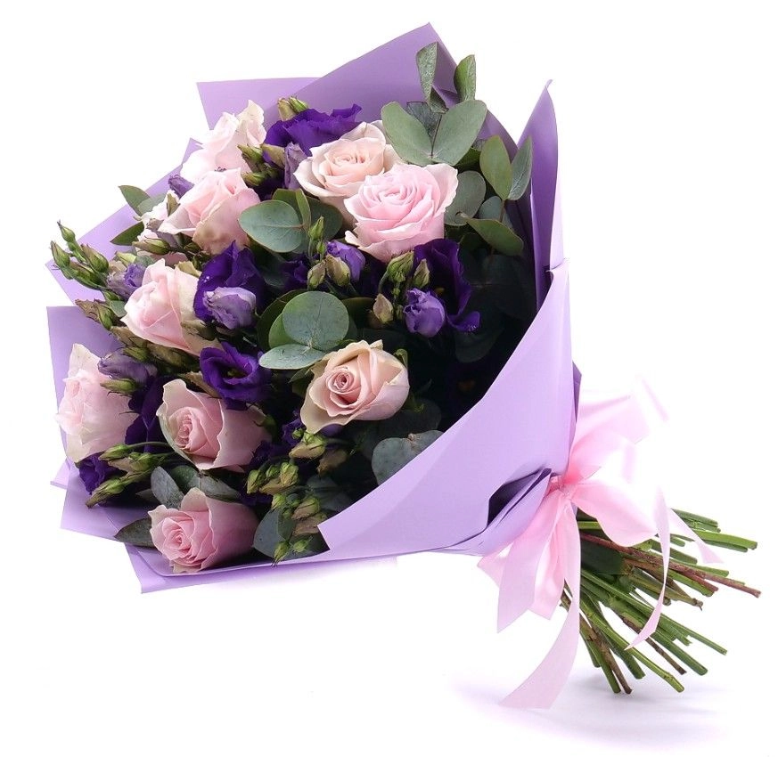 kytica k narodeninám