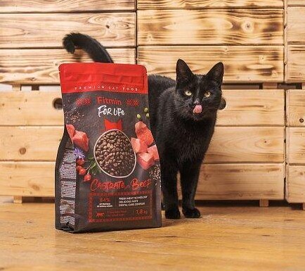 čierna mačka a krmivo pre mačky