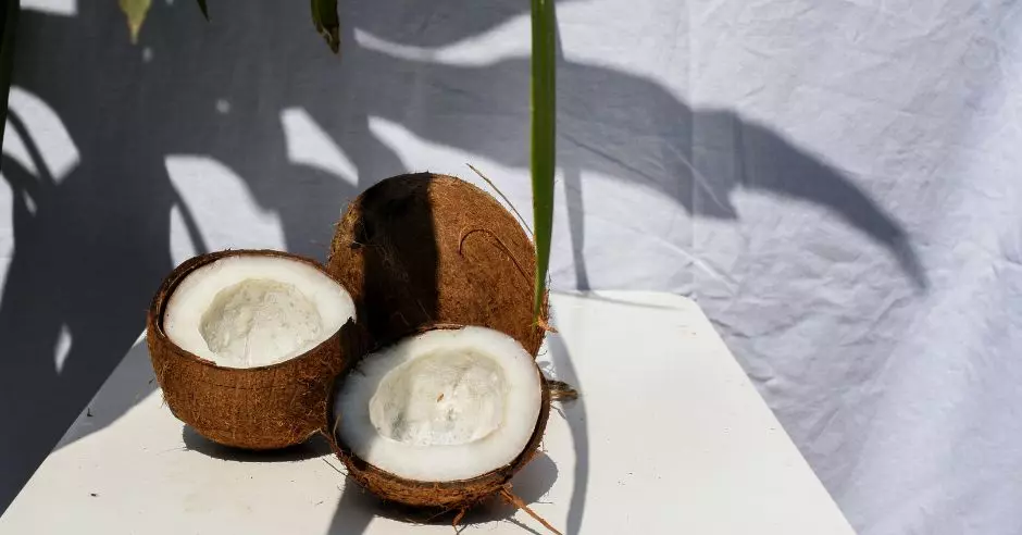 kokosove-orechy