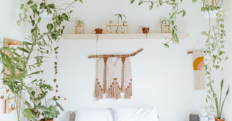 macrame-tahave-rastliny-kvety